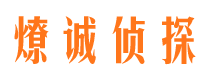 舞钢市调查公司